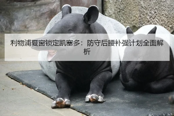 利物浦夏窗锁定凯塞多：防守后腰补强计划全面解析