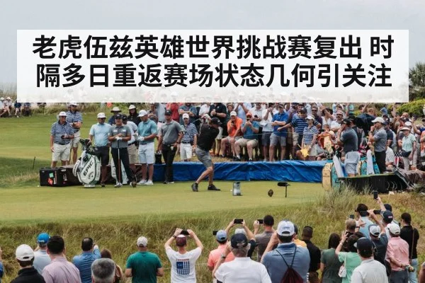golf tournament crowd